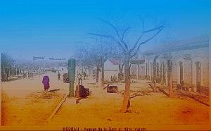 BEDEAU 05